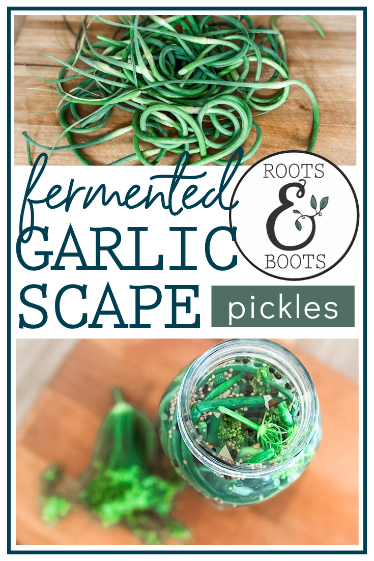 Fermented Garlic Scape Pickles | Roots & Boots