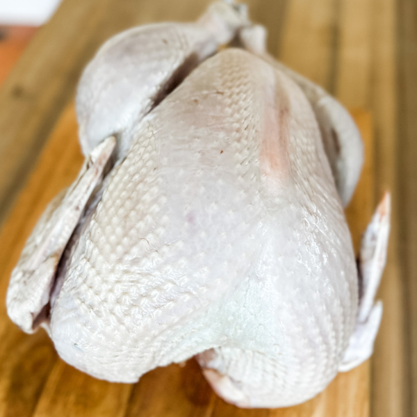 Thawed Pastured Turkey | Roots & Boots