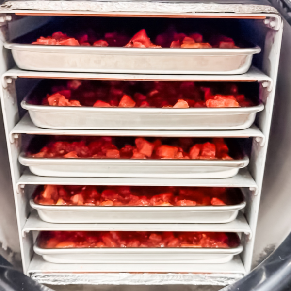 How to Freeze Dry Diced Tomatoes | Roots & Boots