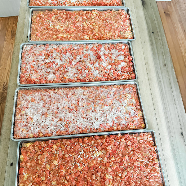 How to Freeze Dry Diced Tomatoes | Roots & Boots