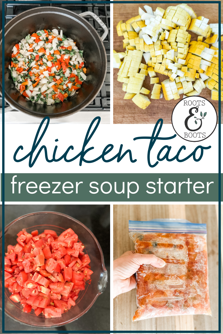 Chicken Taco Soup Starter for Freezing | Roots & Boots