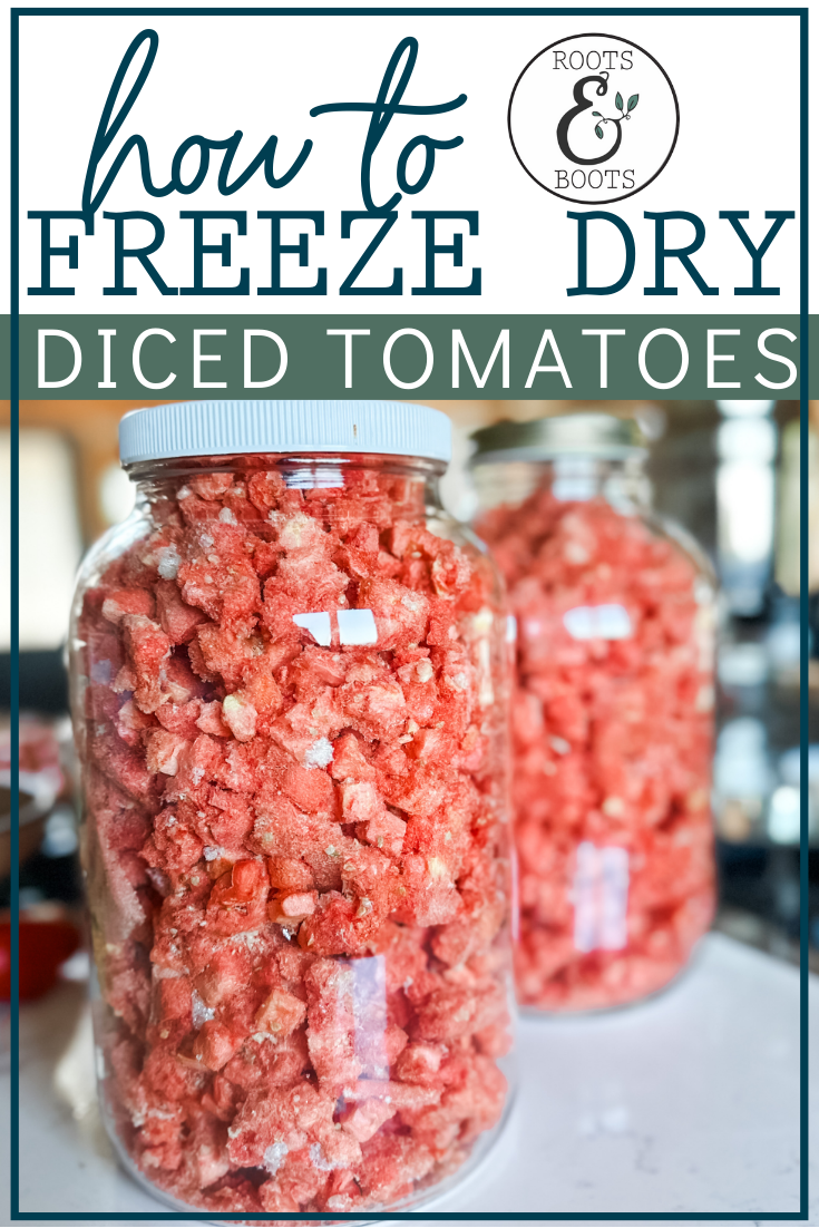How to Freeze Dry Diced Tomatoes | Roots & Boots