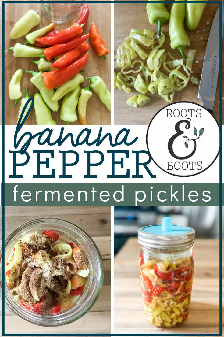Fermented Banana Pepper Pickles | Roots & Boots