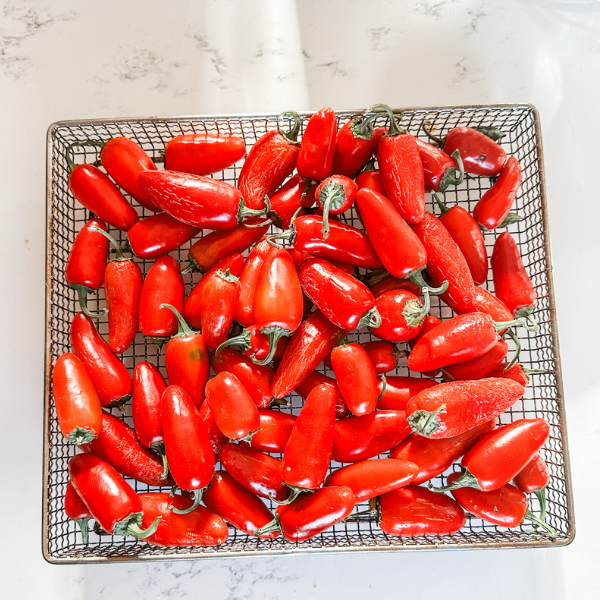 How to Make Chipotle Peppers | Roots & Boots