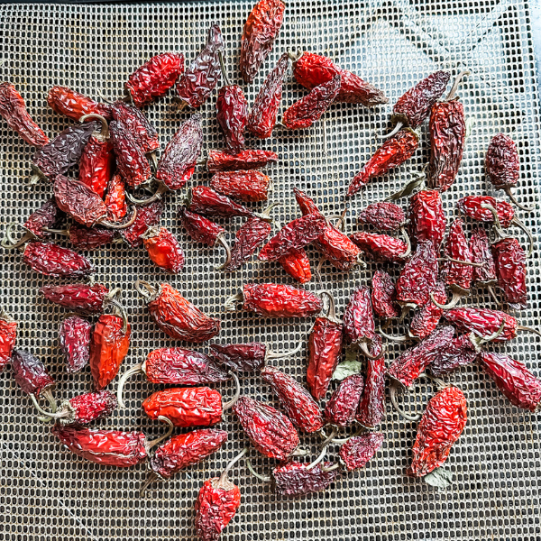 How to Make Chipotle Peppers | Roots & Boots