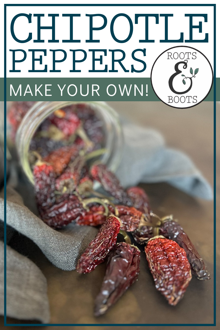 How to Make Chipotle Peppers | Roots & Boots