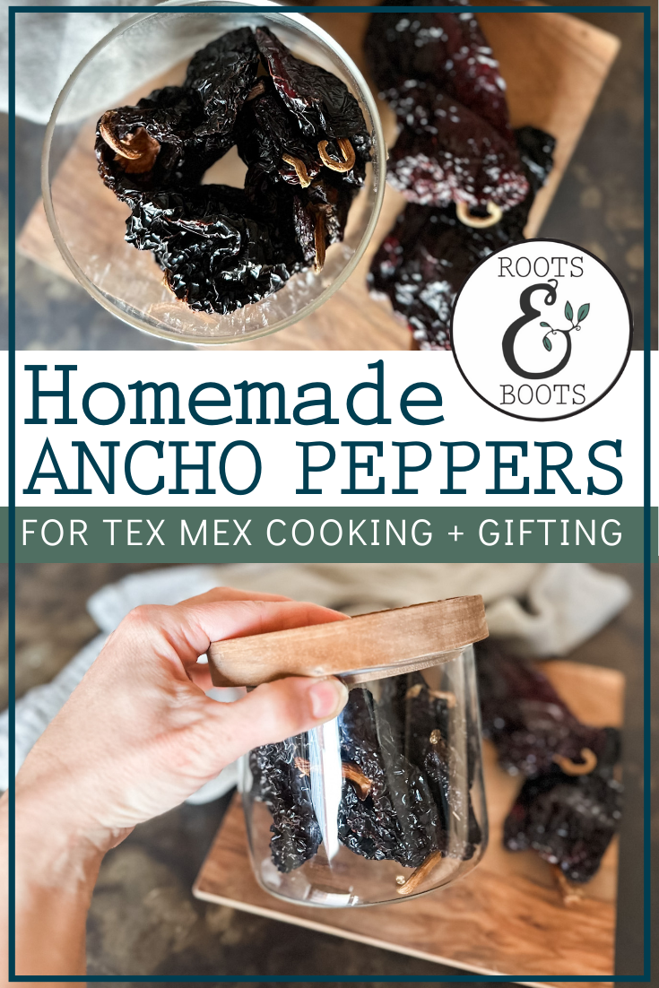 How to Make Ancho Peppers | Roots & Boots