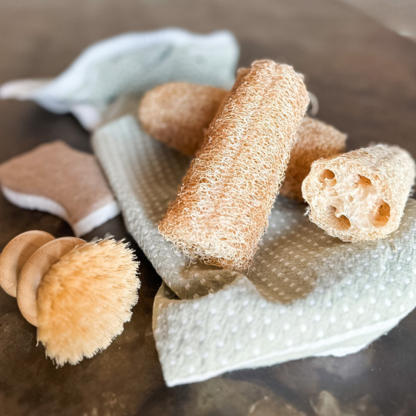 How to Grow Loofah Sponges | Roots & Boots