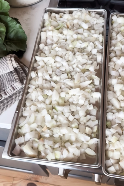 How to Freeze Dry Onions | Roots & Boots