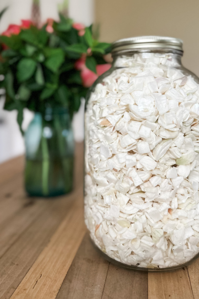 How to Freeze Dry Onions | Roots & Boots