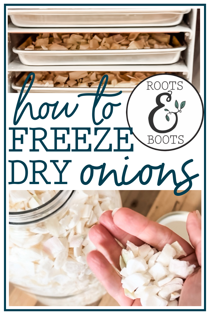 How to Freeze Dry Onions | Roots & Boots