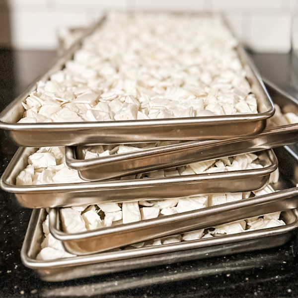 How to Freeze Dry Onions | Roots & Boots