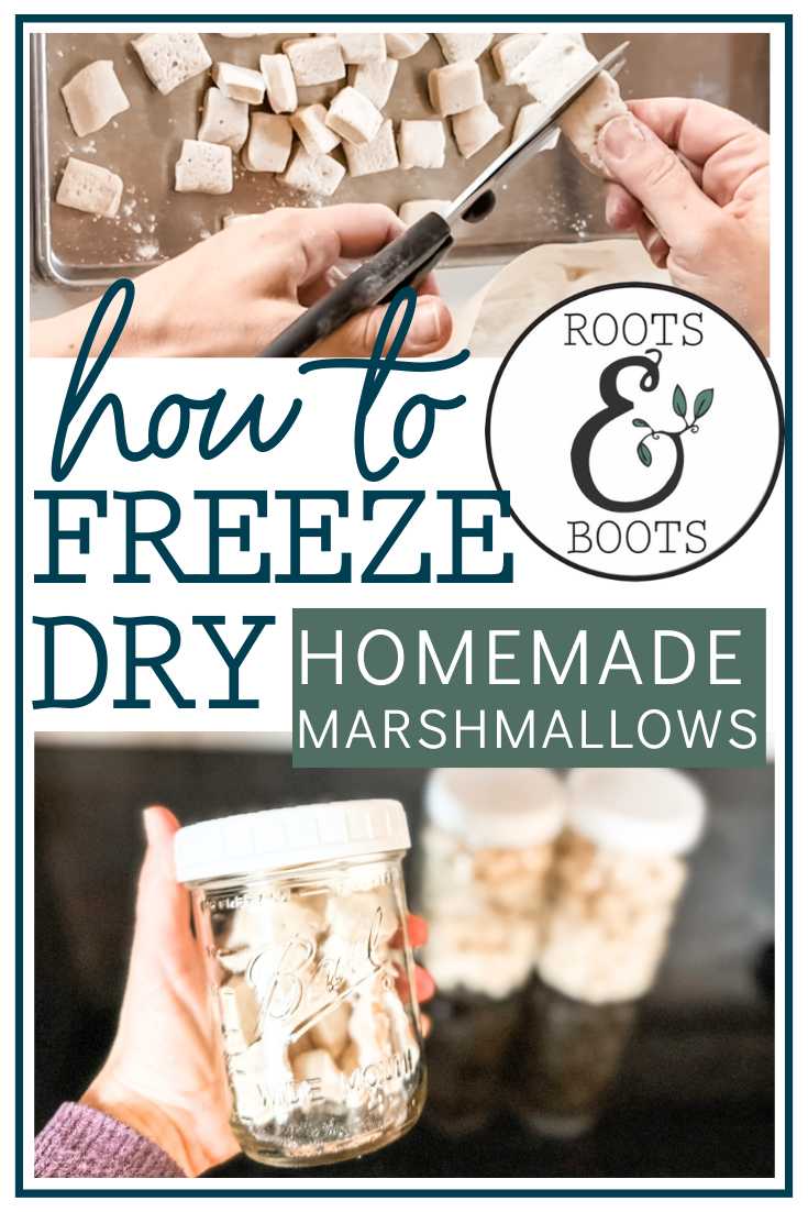 How to Freeze Dry Homemade Marshmallows | Roots & Boots