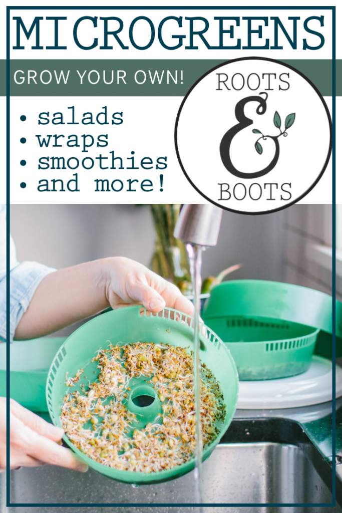 How to Grow Microgreens | Roots & Boots