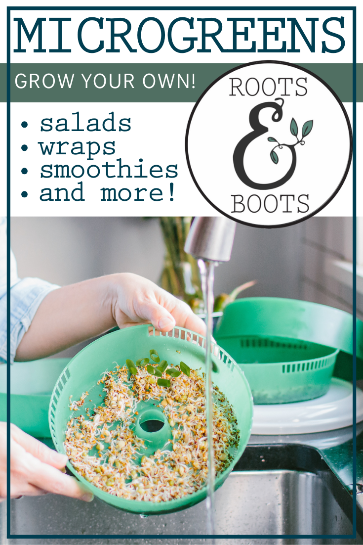 How to Grow Microgreens | Roots & Boots