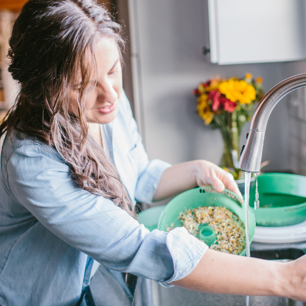 How to Grow Microgreens | Roots & Boots