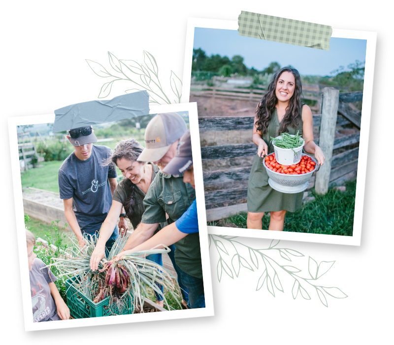 Kitchen Garden Accent Photos (1)