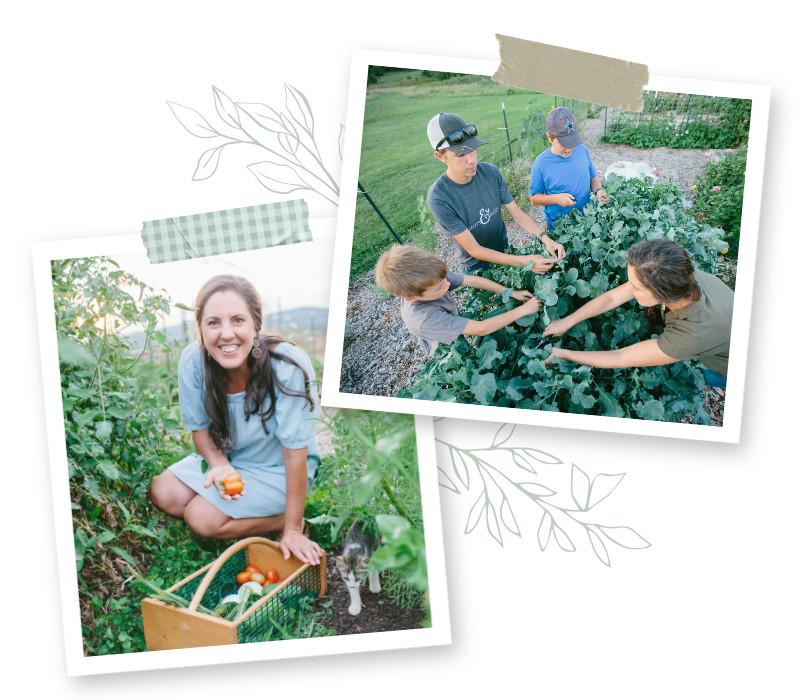 Kitchen Garden Accent Photos