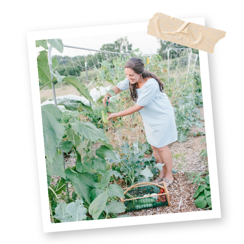 Kitchen Garden Objection Graphics (1)