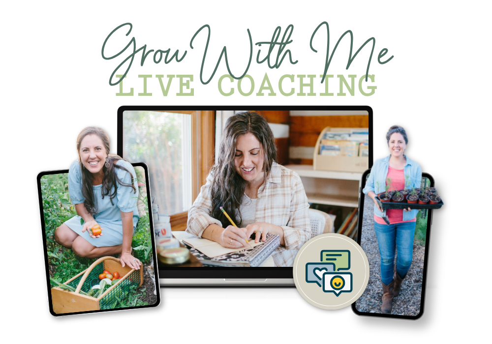 Kitchen Garden Starter System Hero (5)