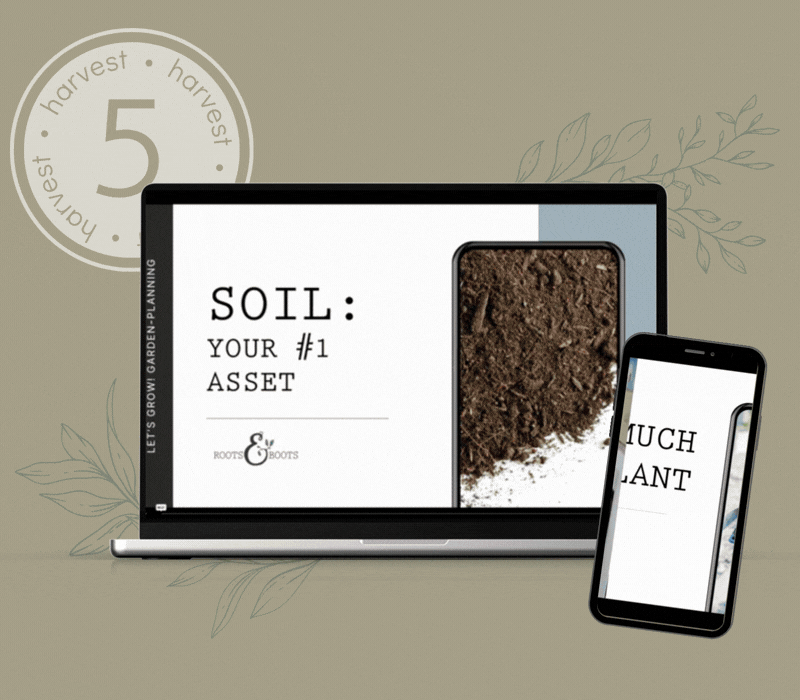 Video Step GIFs (12)