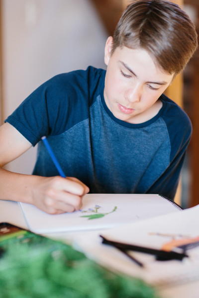 Enterprises for Kids: Artwork | Roots & Boots