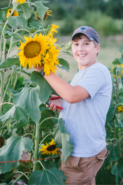 Enterprises for Kids: Cut Flowers | Roots & Boots