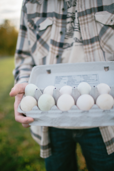 Enterprises for Kids: Duck Eggs | Roots & Boots