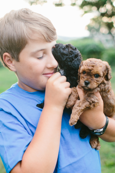 31+ Enterprises for Kids: Puppies | Roots & Boots