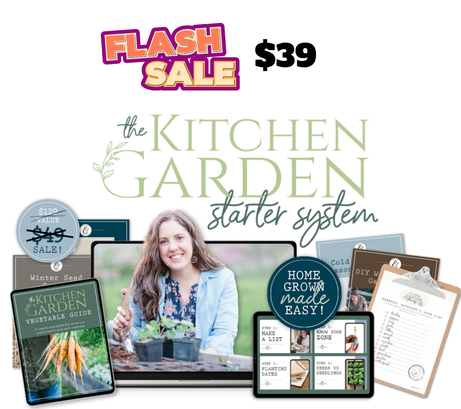 KGSS flash Sale $39 (2)
