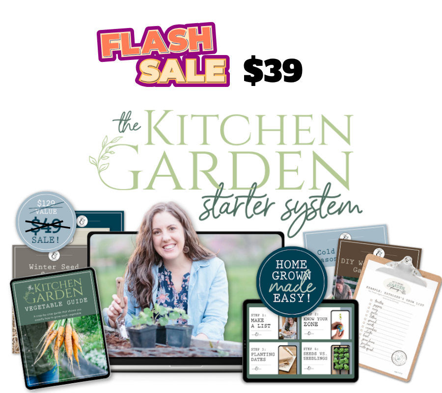 KGSS flash Sale $39