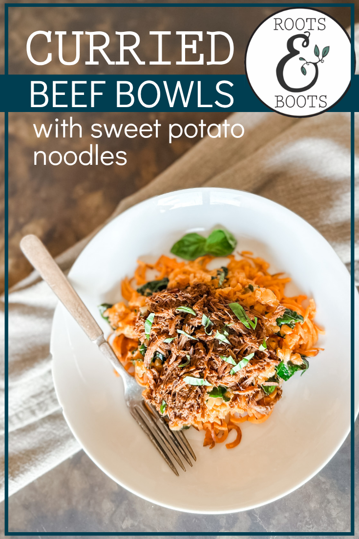 Beef Curry Bowls with Sweet Potato Noodles | Roots & Boots