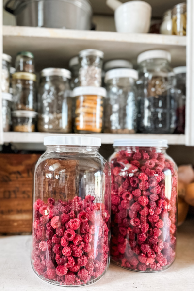 How to Freeze Dry Raspberries | Roots & Boots