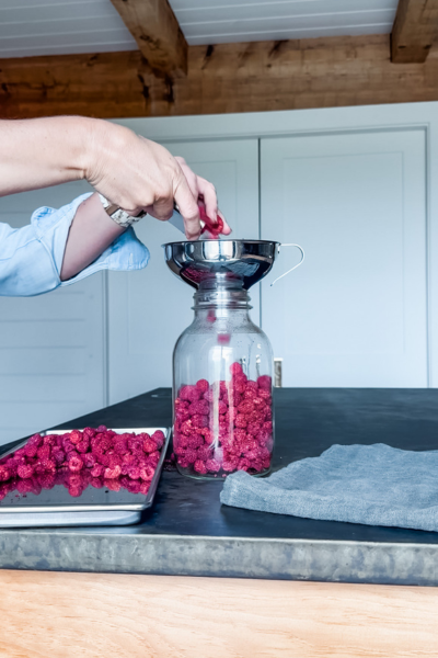 How to Freeze Dry Raspberries | Roots & Boots