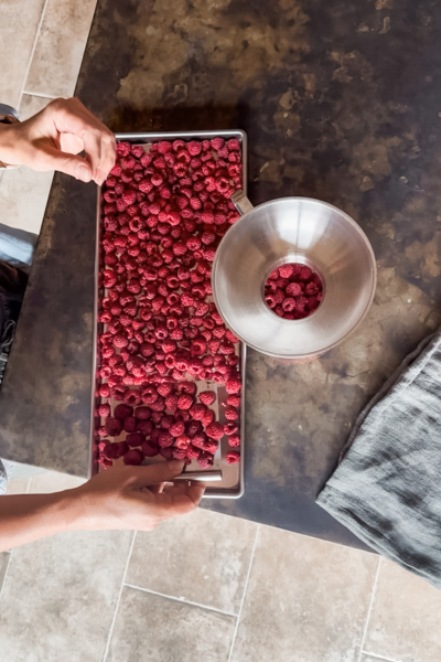 How to Freeze Dry Raspberries | Roots & Boots