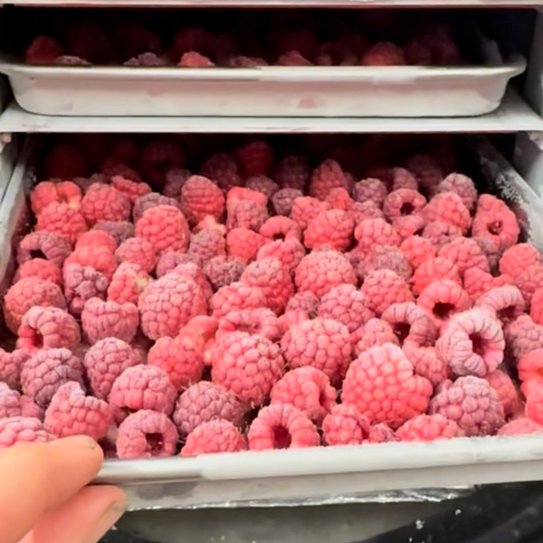 Frozen Raspberries | Roots & Boots