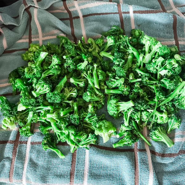 How to Freeze Broccoli | Roots & Boots