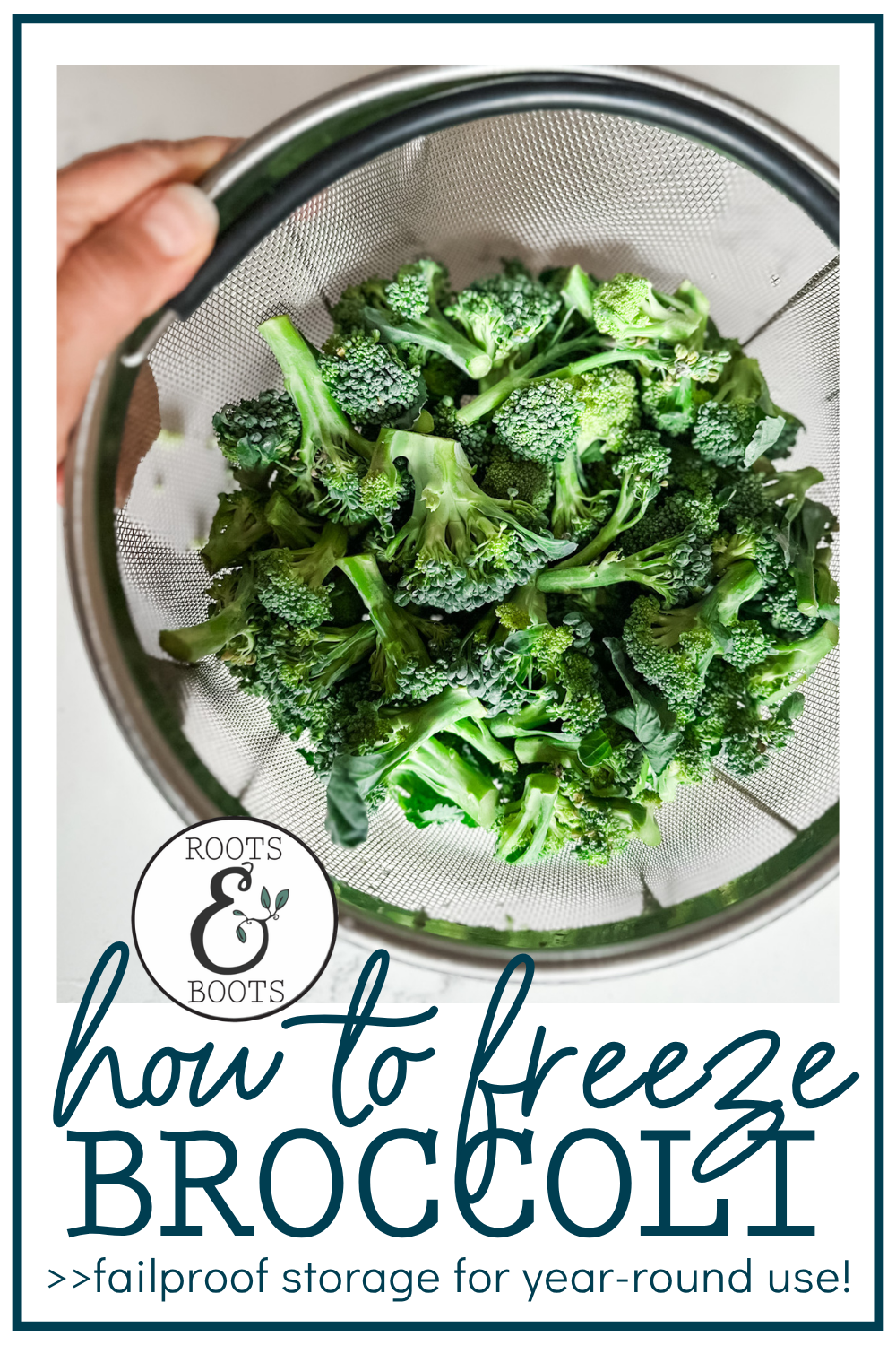 How to Freeze Broccoli | Roots & Boots