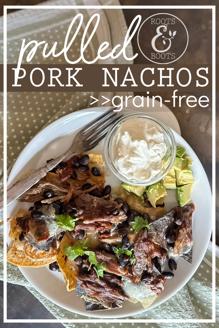 Pulled Pork Nachos | Roots & Boots