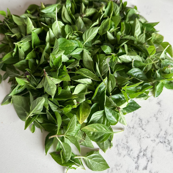 Homegrown Basil | Roots & Boots