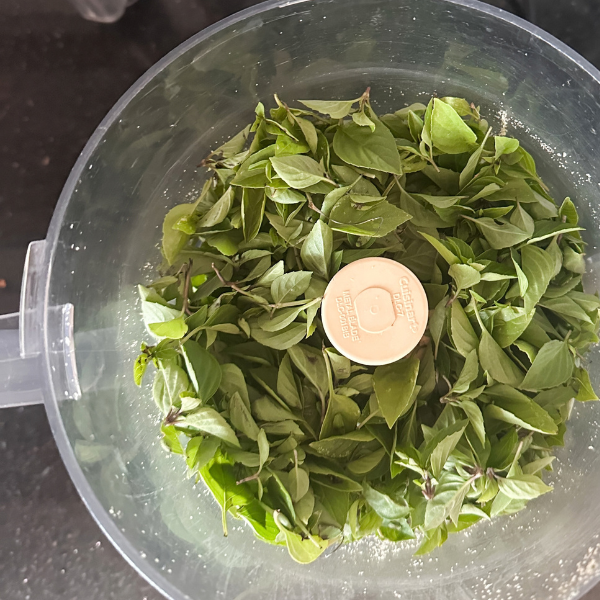 Homegrown Basil | Roots & Boots