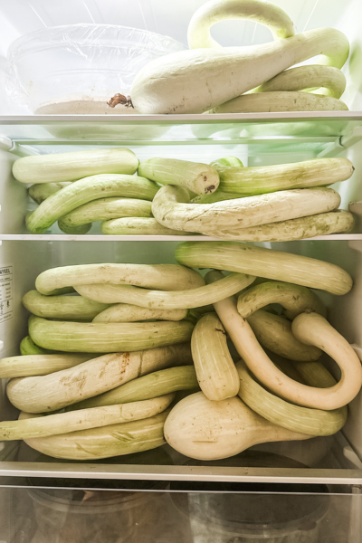 Rampicante Squash | Roots & Boots