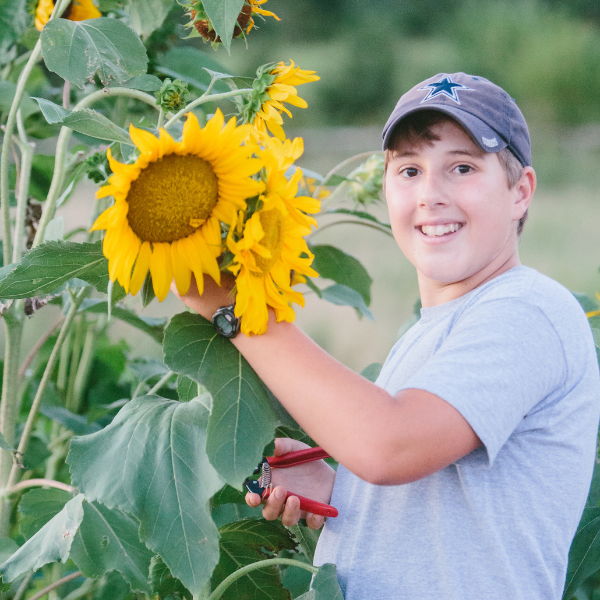Enterprises for Kids | Roots & Boots
