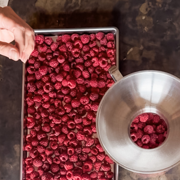 How to Freeze Dry Raspberries | Roots & Boots