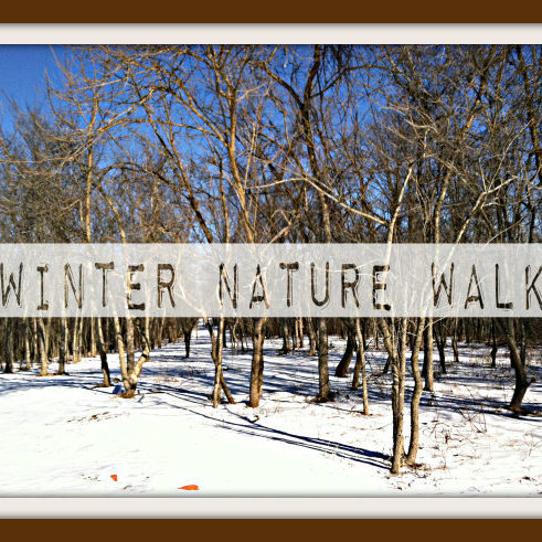 Winter Nature Walk Winter Nature Walk