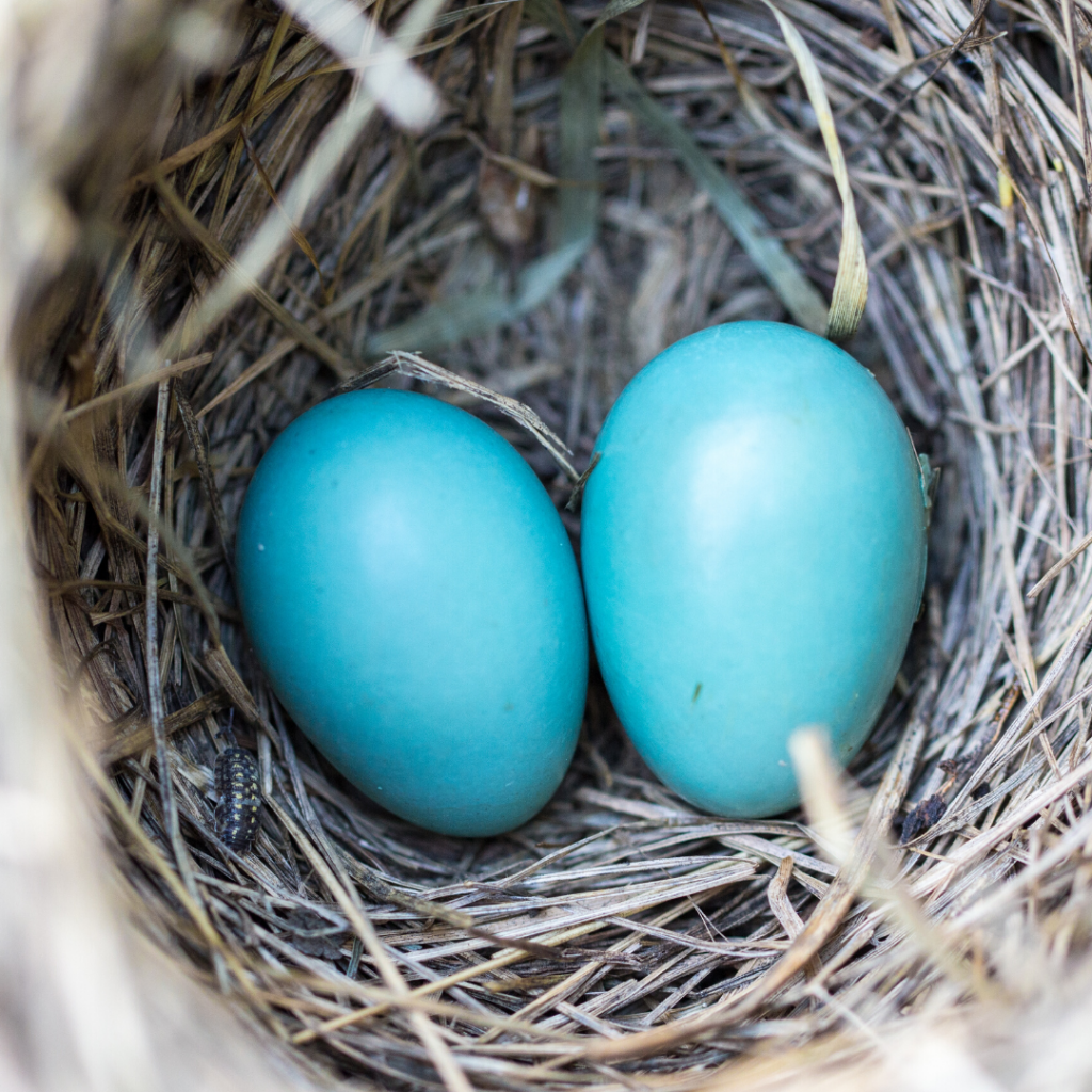 Nesting Materials Project for Kids