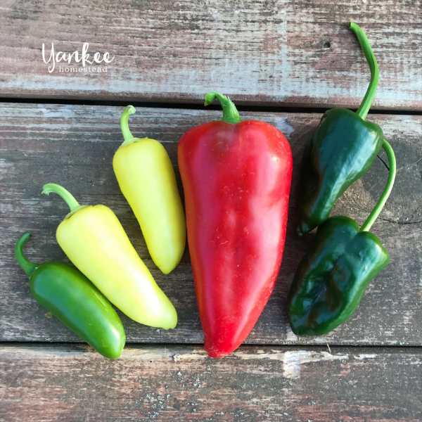 The Easiest Way to Deseed a Pepper The Easiest Way to Deseed a Pepper